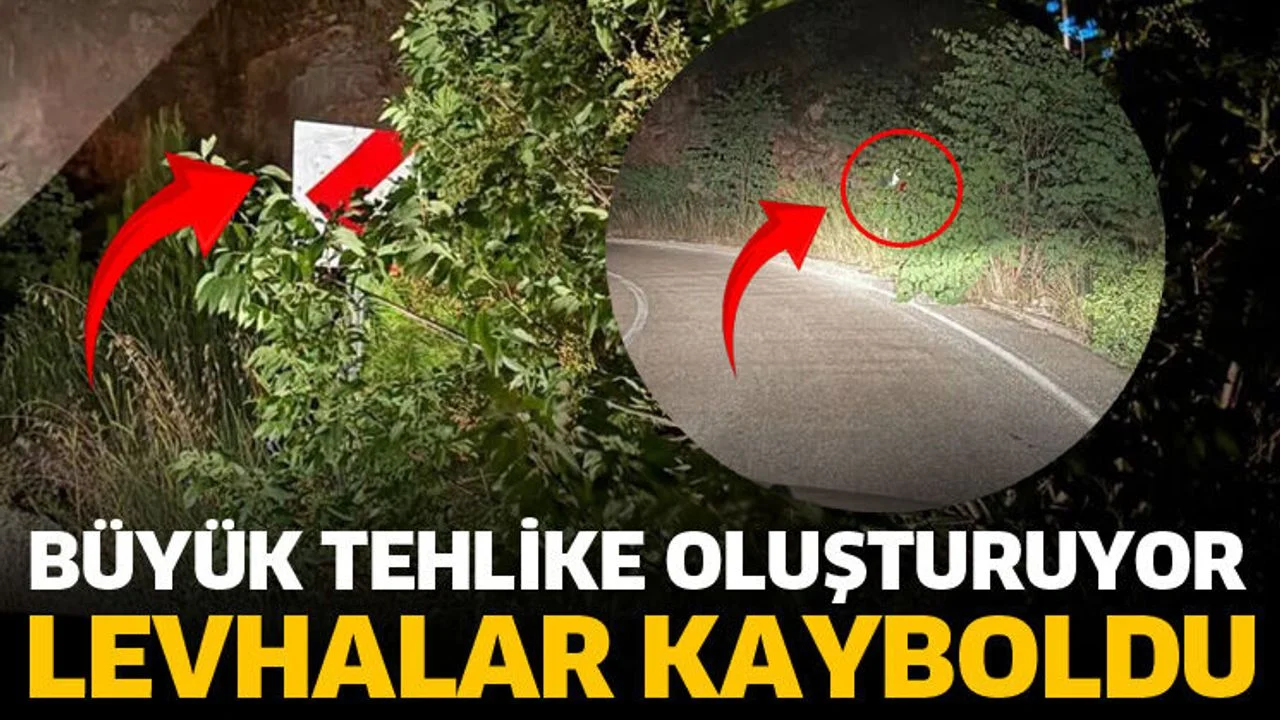 Büyük tehlike! Ağaçların dallarının arasında kayboldu