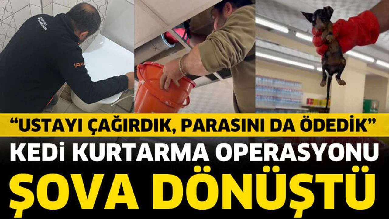 Yavru kedinin kurtarılması şova dönüştü