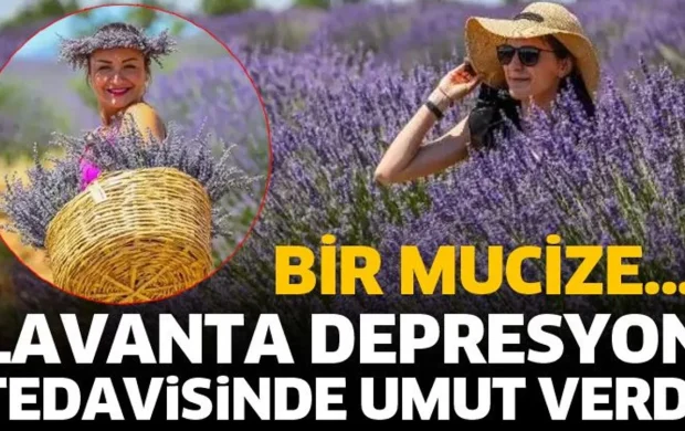 Lavanta depresyona tedavisinde umut verdi