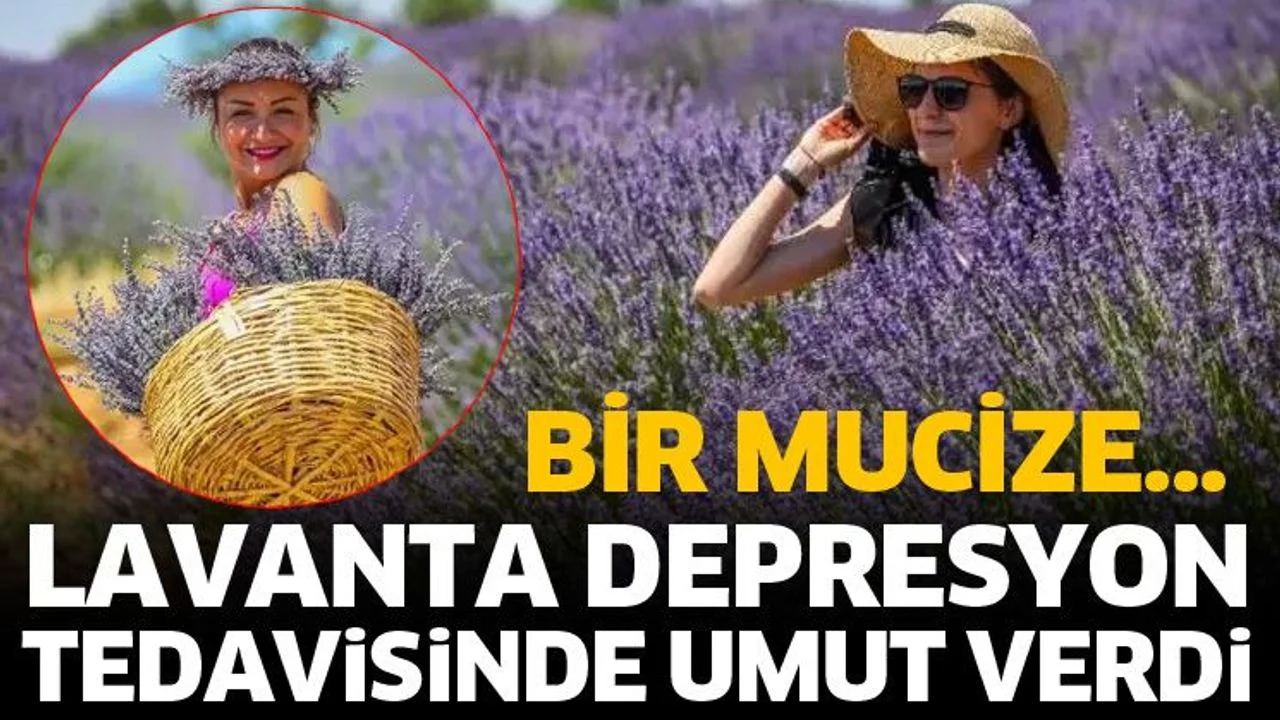 Lavanta depresyona tedavisinde umut verdi
