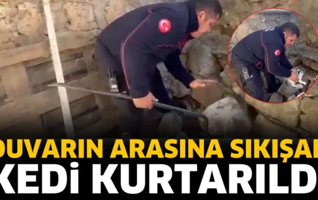 Örme taş duvara sıkışan kedi itfaiye ekiplerince kurtarıldı