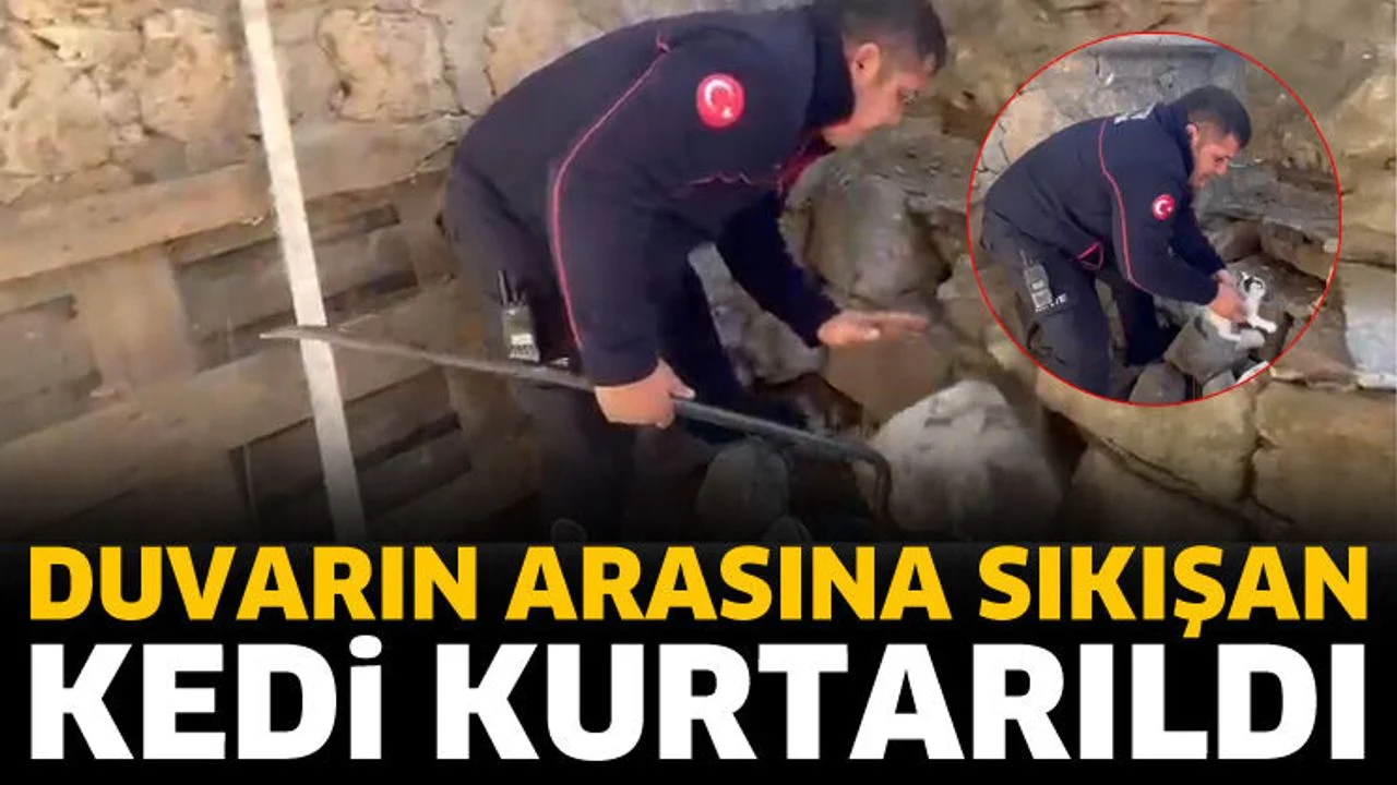Örme taş duvara sıkışan kedi itfaiye ekiplerince kurtarıldı
