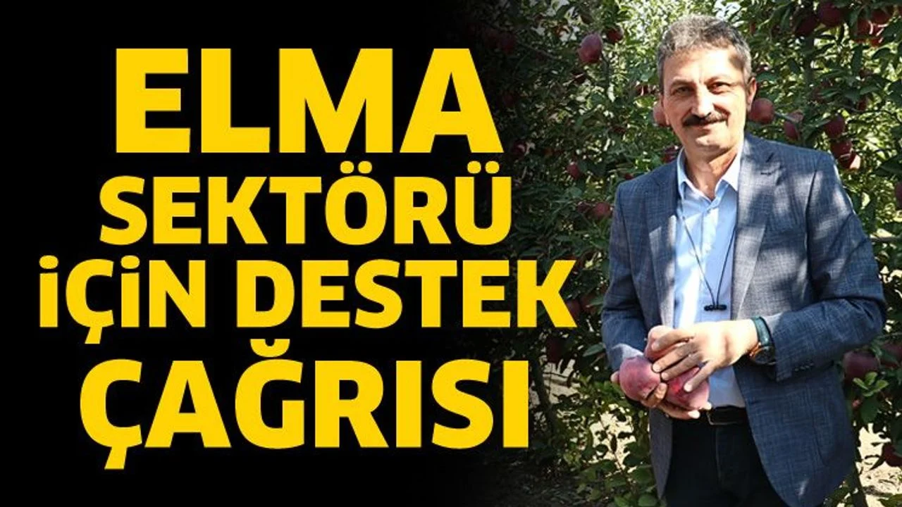 Elma sektörü için destek çağrısı