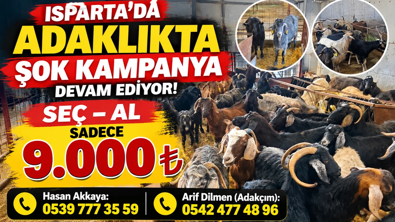 ISPARTA’DA ADAKLIKTA ŞOK KAMPANYA DEVAM EDİYOR! SEÇ, AL SADECE 9 BİN TL