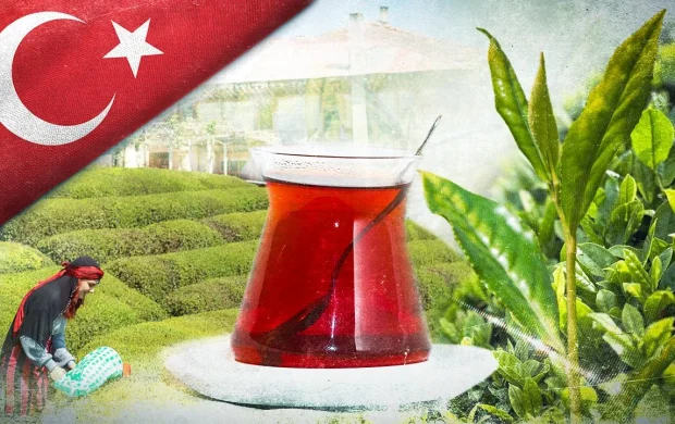 Çay ihracatı 9 ayda 25 milyon doları aştı
