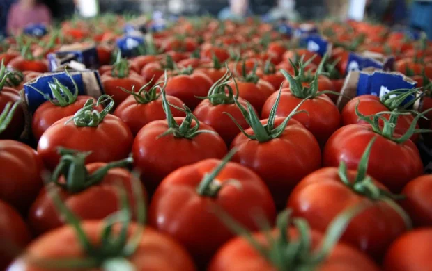 Yaş sebze ihracatı 9 ayda 822 milyon dolara ulaştı