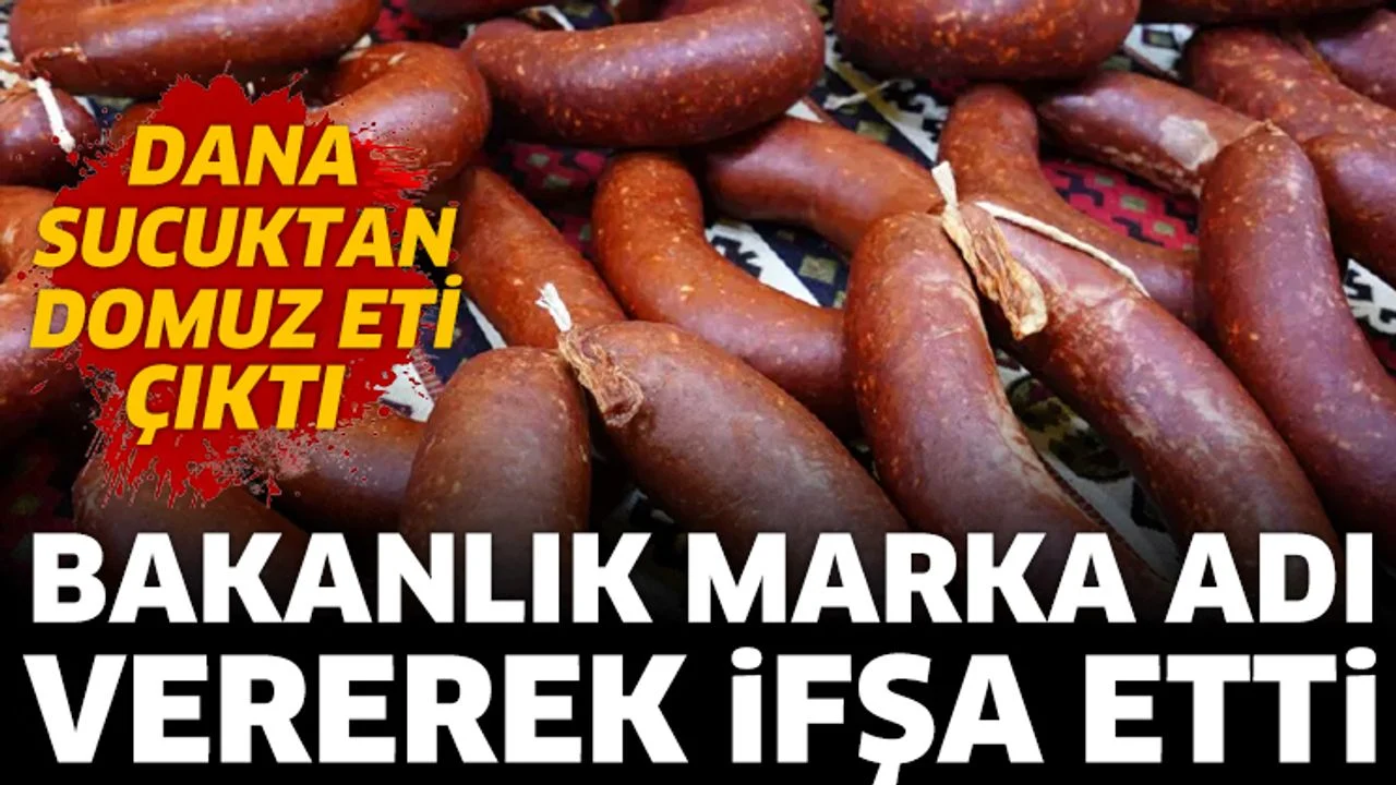 Dana sucukta domuz eti tespiti