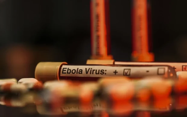 Nijeryadan Ebola riskine karşı uyarı