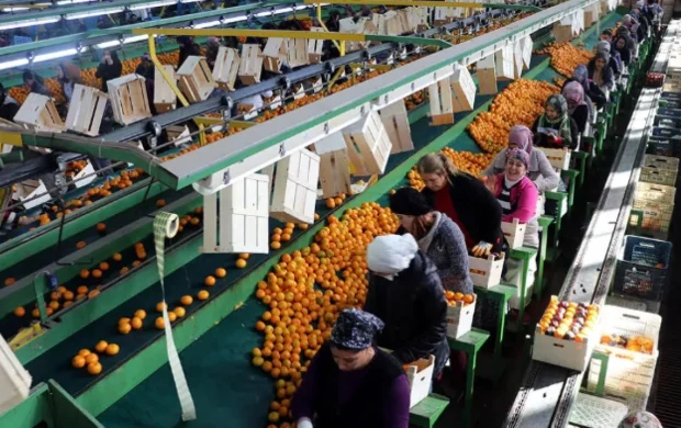 Türkiye ihracatında 9 ayda 211 milyar dolarlık rekor