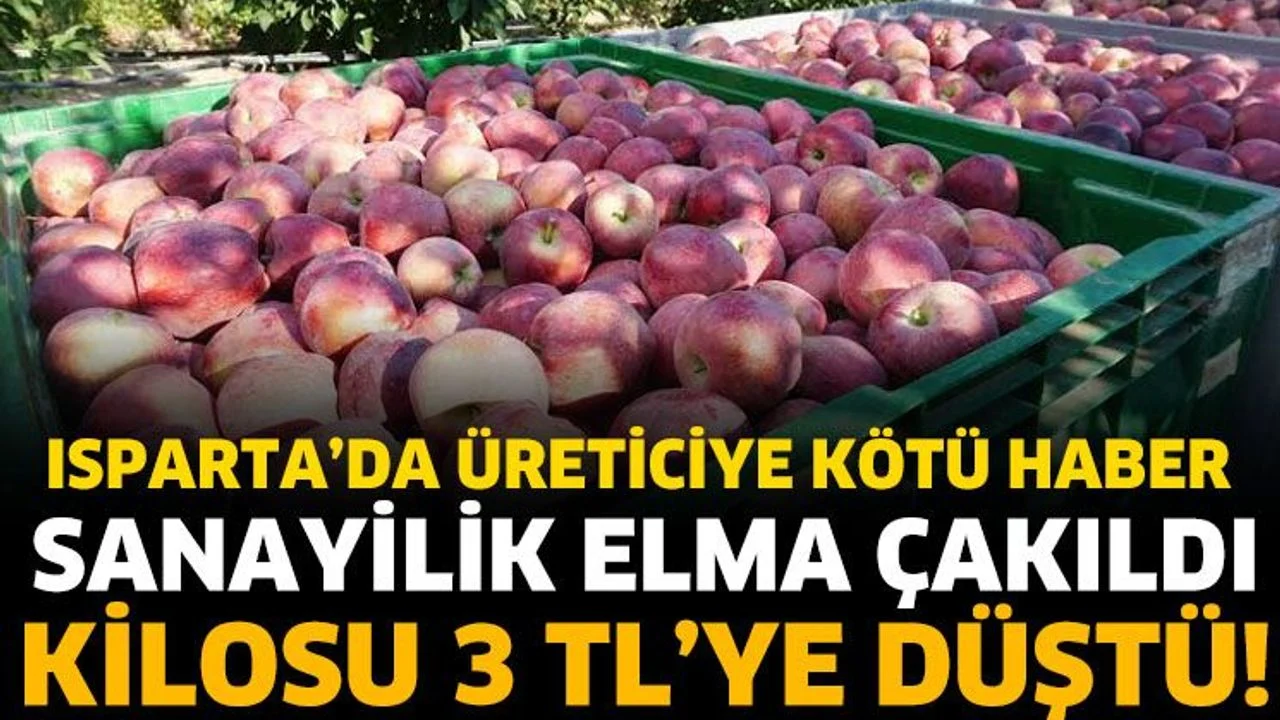Isparta'da Sanayilik Elmanın Kilogram Fiyatı 3 TL'ye Düştü