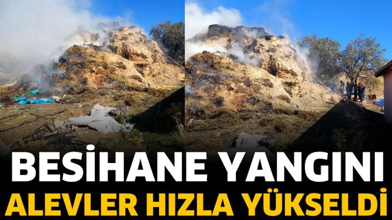 Besihanede yangın
