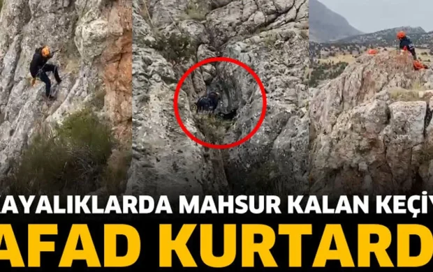 Isparta’da Kayalıklarda Mahsur Kalan Keçiyi AFAD Kurtardı