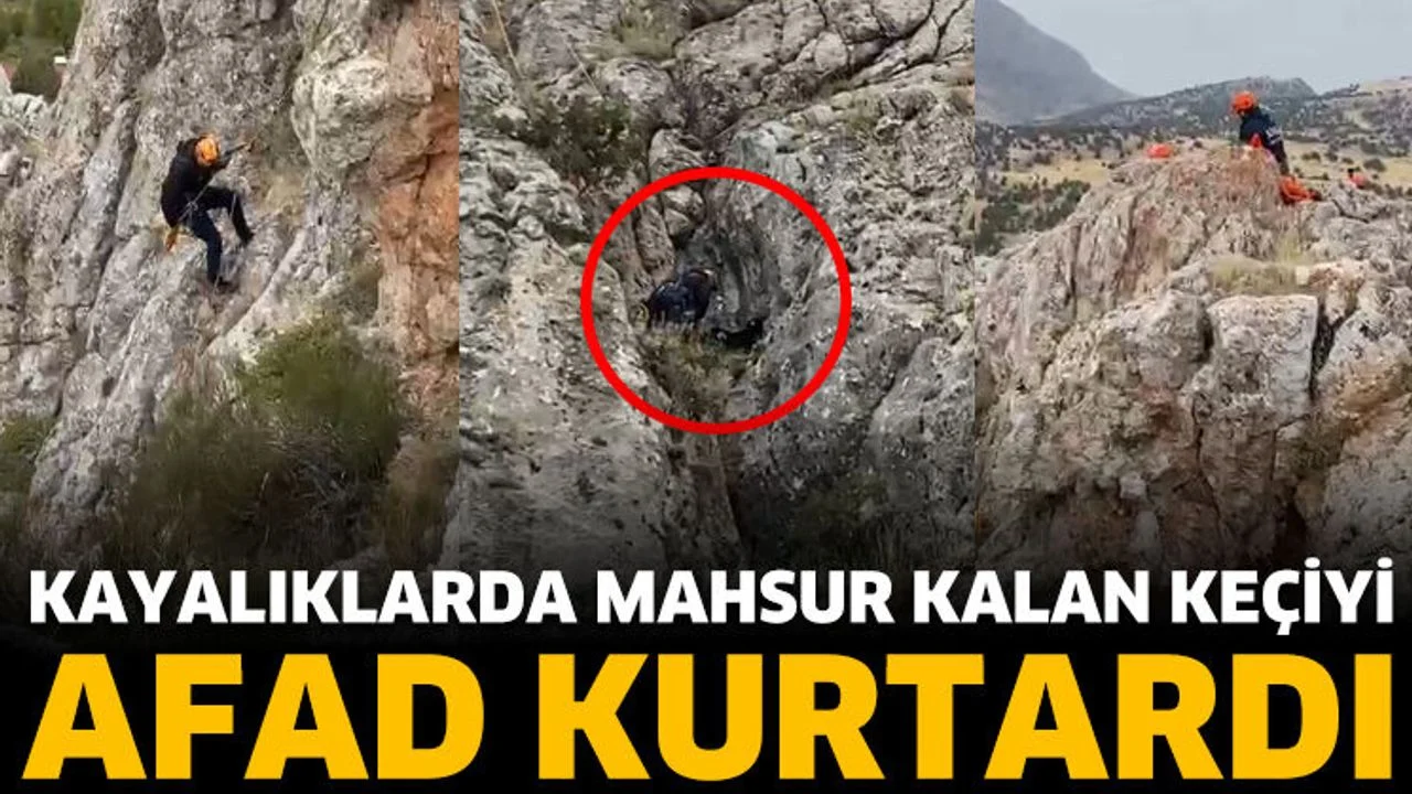 Isparta’da Kayalıklarda Mahsur Kalan Keçiyi AFAD Kurtardı