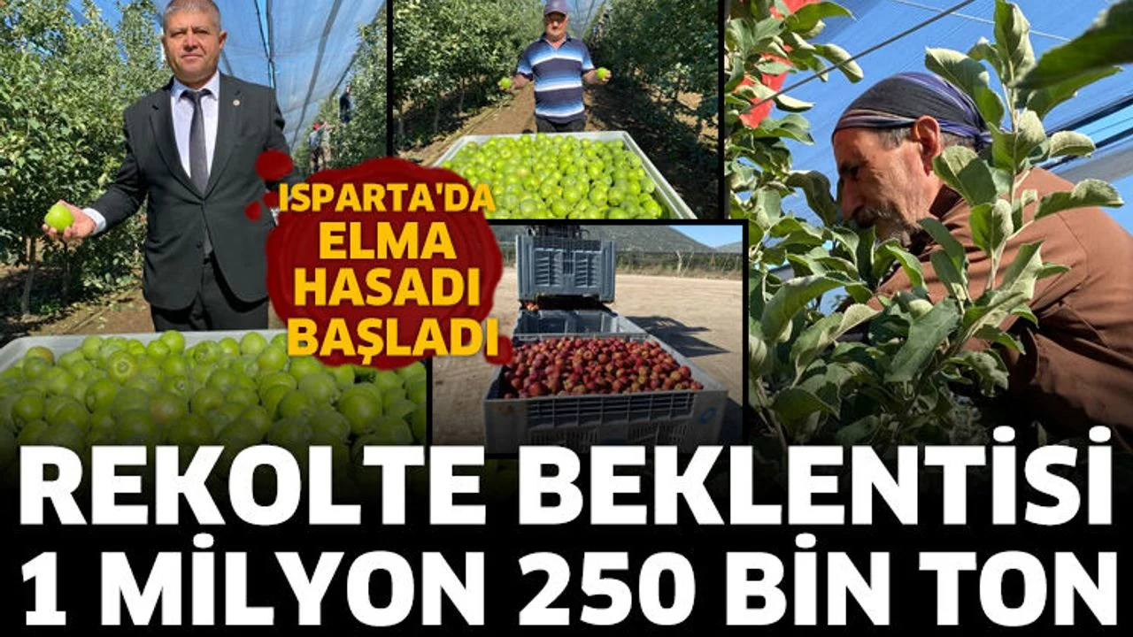 Isparta'da elma hasadı başladı