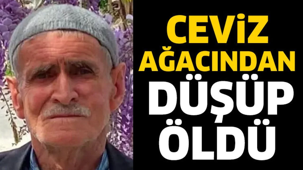 Ceviz ağacından düşüp öldü