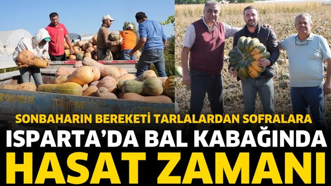 Isparta’da Bal Kabağında Hasat Zamanı