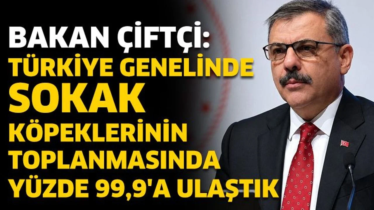 Bakan Çiftçi: Sokak Köpeklerinin Toplanmasında Yüzde 99,9’a Ulaştık