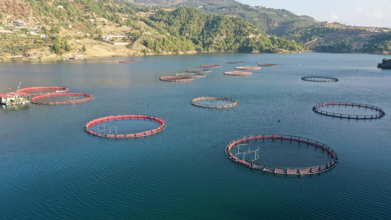Karadeniz'in su ürünleri ihracatı 9 ayda 322 milyon doları aştı