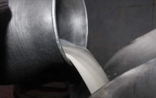 Mesleki yeterlilik belgeli çalışanların topladığı süte ilave destek