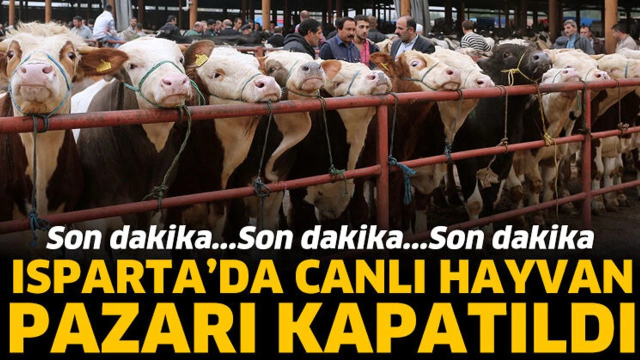 Isparta’da canlı hayvan pazarı kapatıldı