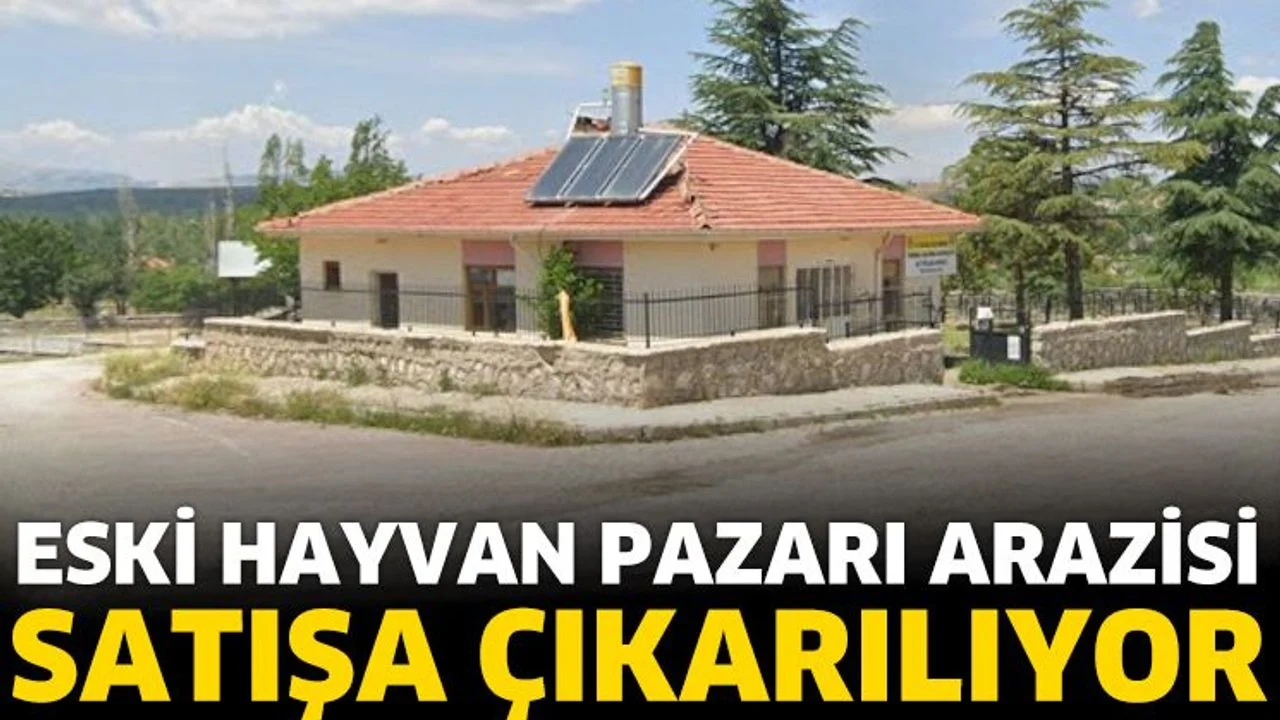 Eski Hayvan Pazarı arazisi satışa çıkarılıyor
